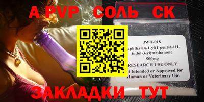 индика Гагарин
