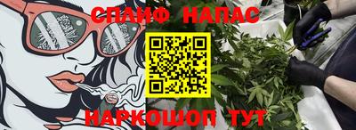индика Гагарин