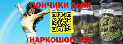 индика Гагарин