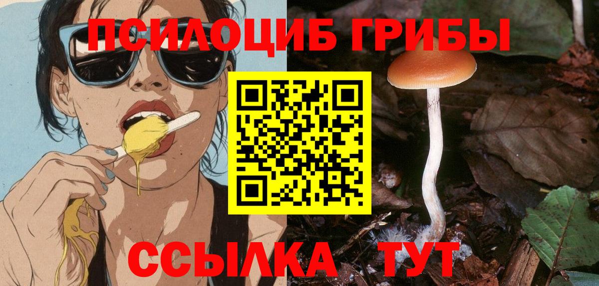 Псилоцибиновые грибы ЛСД Минусинск