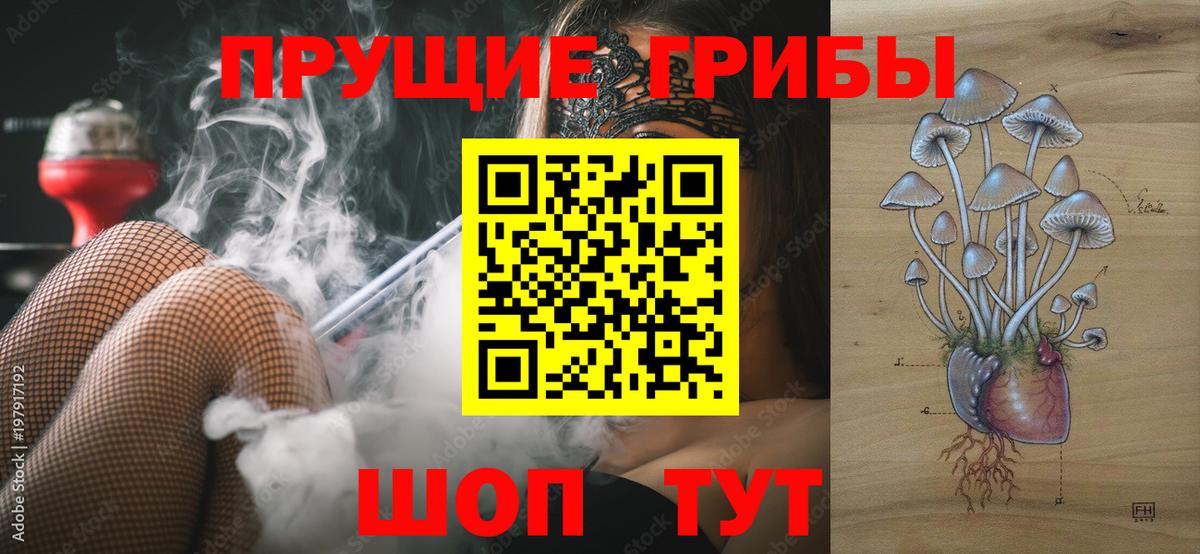 Галлюциногенные грибы ЛСД  Вход с VPN  Галлюциногенные грибы мухоморы  купить закладку  Минусинск 